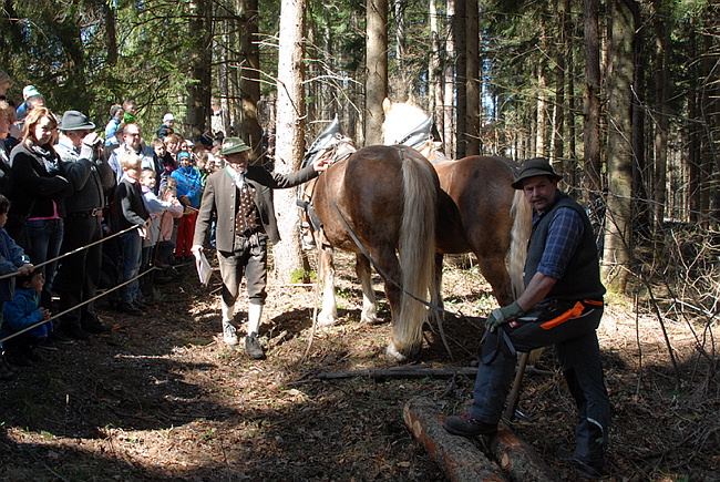 20130414GlentleitenHolzr�cken014.JPG