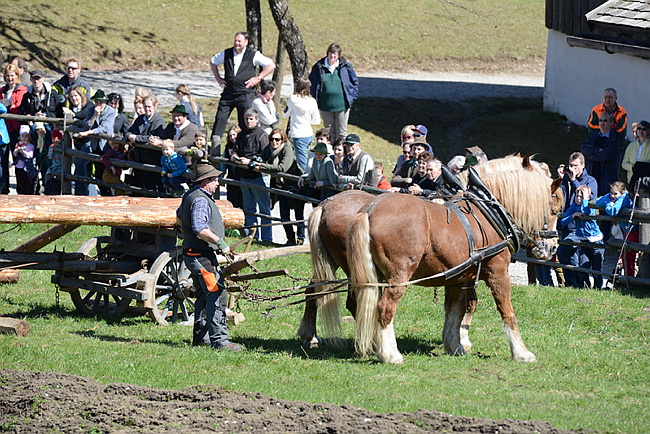 20130414GlentleitenHolzr�cken101.JPG