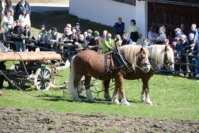 20130414GlentleitenHolzr�cken100.JPG