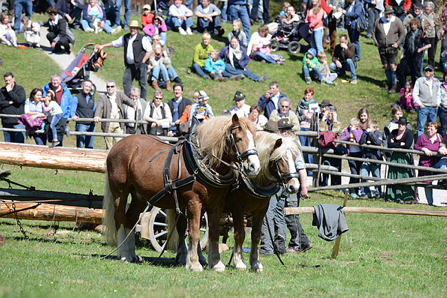 20130414GlentleitenHolzr�cken105.JPG
