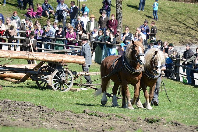 20130414GlentleitenHolzr�cken104.JPG