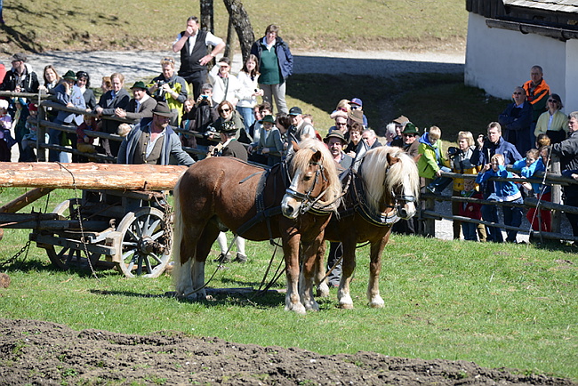 20130414GlentleitenHolzr�cken102.JPG