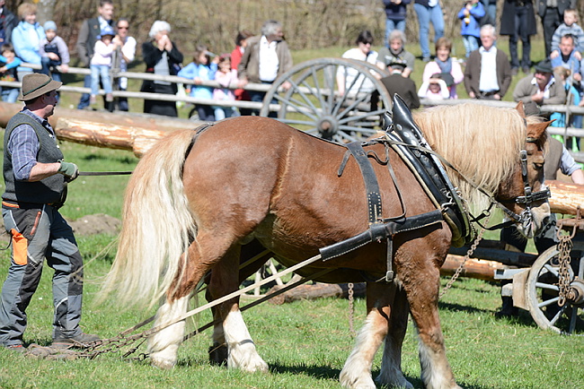20130414GlentleitenHolzr�cken111.JPG