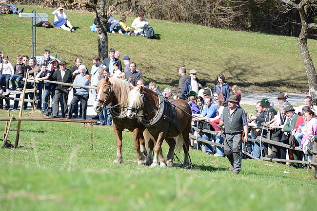 20130414GlentleitenHolzr�cken118.JPG