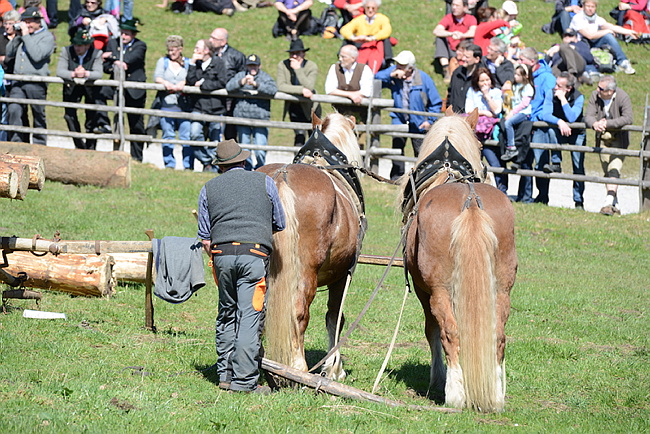 20130414GlentleitenHolzr�cken112.JPG