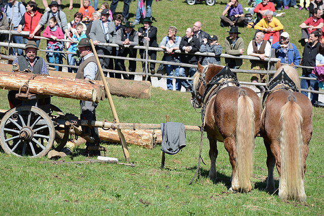 20130414GlentleitenHolzr�cken114.JPG