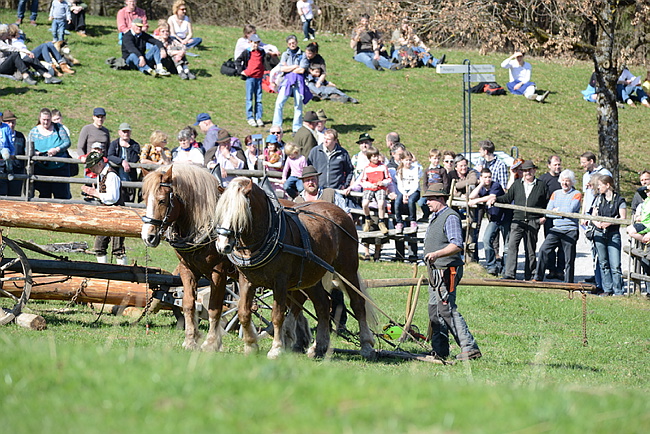 20130414GlentleitenHolzr�cken123.JPG