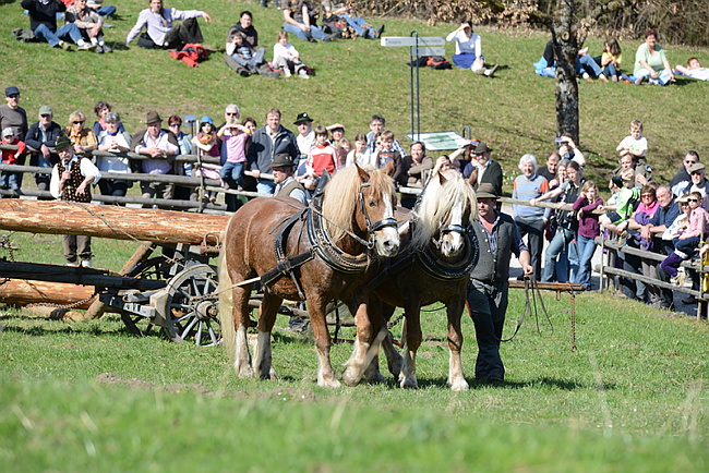 20130414GlentleitenHolzr�cken129.JPG