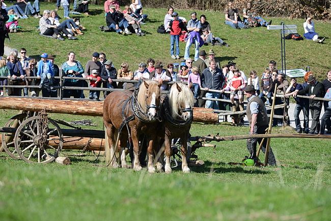 20130414GlentleitenHolzr�cken125.JPG