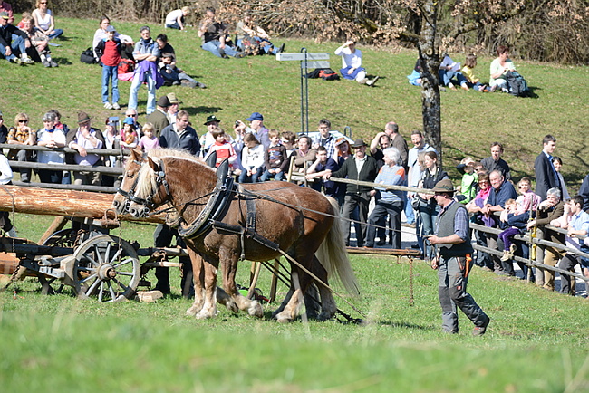 20130414GlentleitenHolzr�cken121.JPG