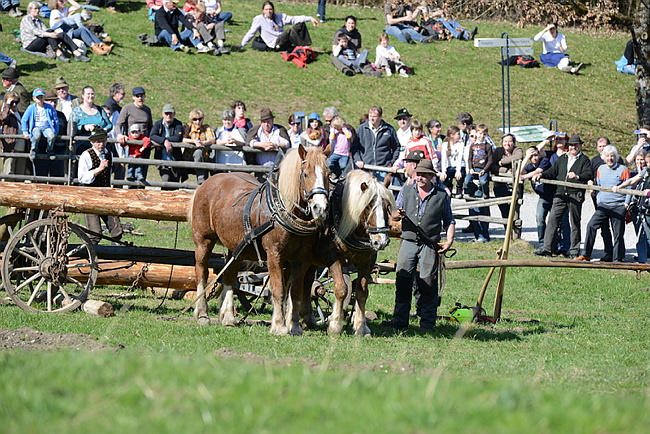 20130414GlentleitenHolzr�cken127.JPG