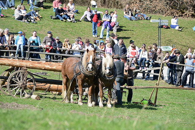 20130414GlentleitenHolzr�cken126.JPG