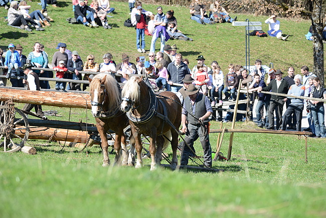 20130414GlentleitenHolzr�cken124.JPG