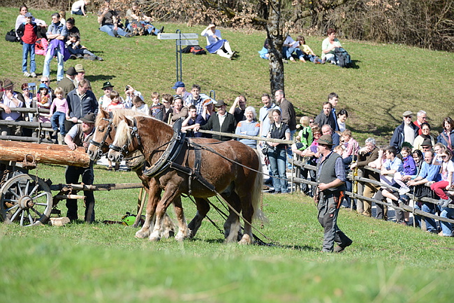 20130414GlentleitenHolzr�cken120.JPG