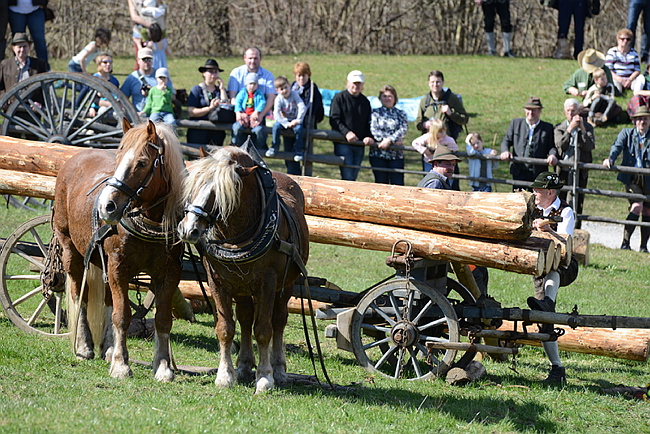 20130414GlentleitenHolzr�cken136.JPG
