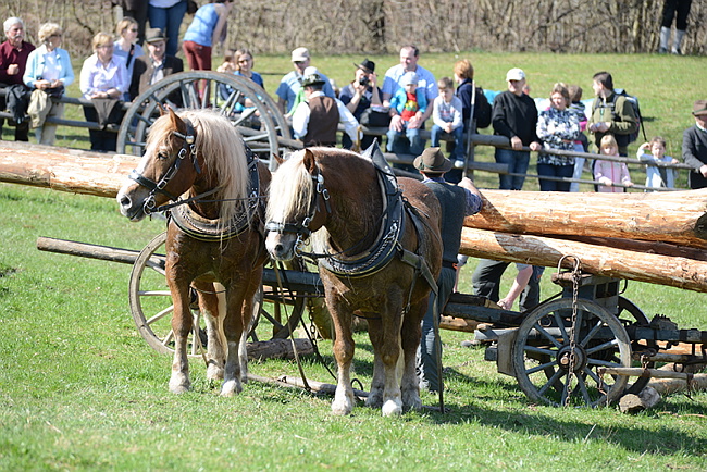 20130414GlentleitenHolzr�cken138.JPG
