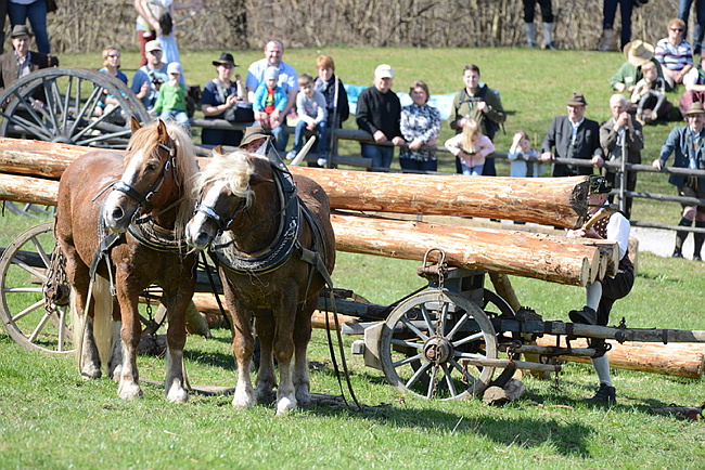 20130414GlentleitenHolzr�cken135.JPG