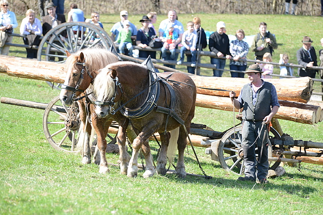 20130414GlentleitenHolzr�cken137.JPG