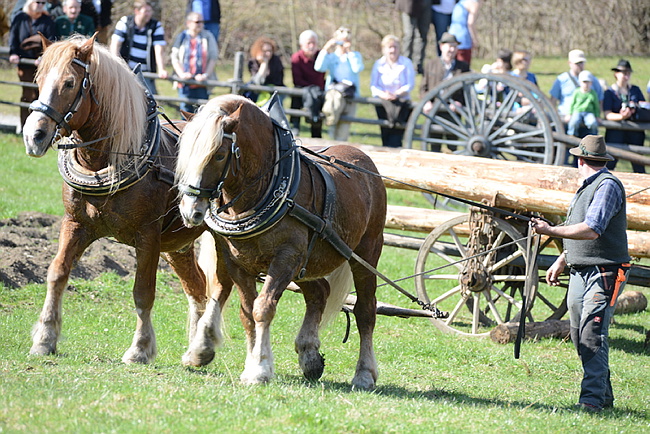 20130414GlentleitenHolzr�cken144.JPG