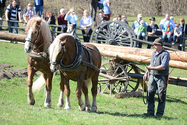 20130414GlentleitenHolzr�cken143.JPG