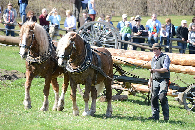20130414GlentleitenHolzr�cken142.JPG