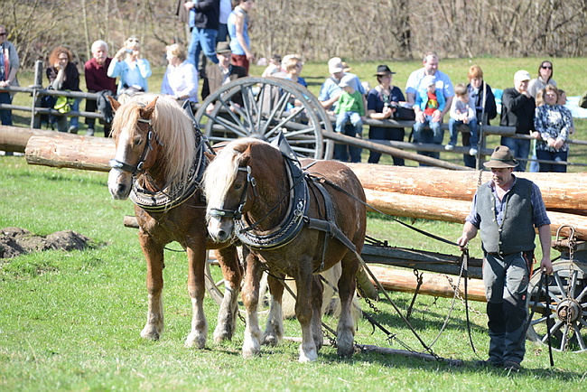 20130414GlentleitenHolzr�cken140.JPG