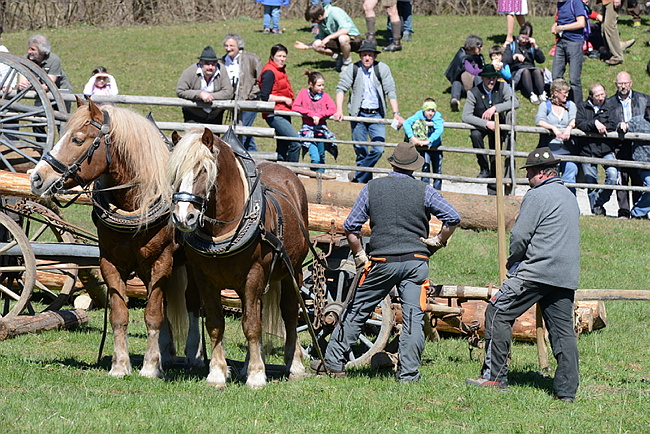 20130414GlentleitenHolzr�cken176.JPG
