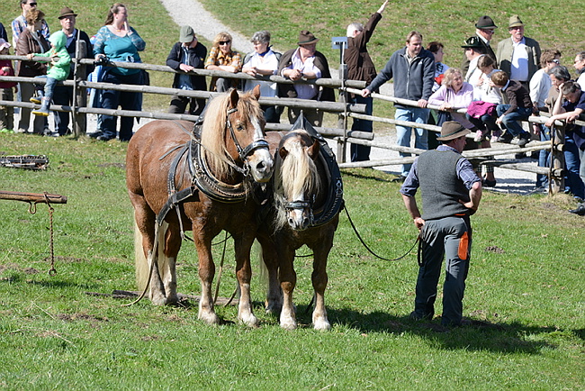 20130414GlentleitenHolzr�cken192.JPG