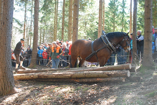 20130414GlentleitenHolzr�cken037.JPG