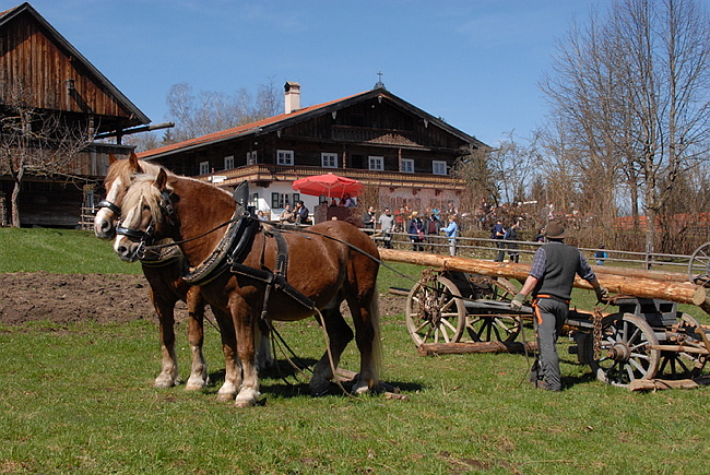 20130414GlentleitenHolzr�cken041.JPG