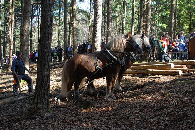 20130414GlentleitenHolzr�cken063.JPG