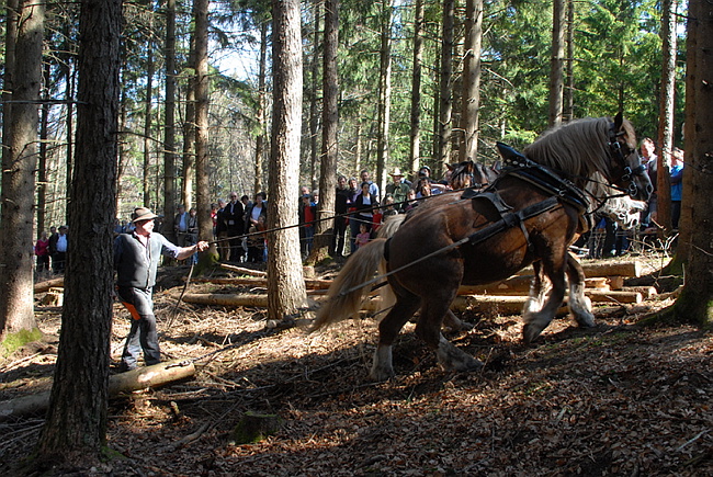 20130414GlentleitenHolzr�cken064.JPG