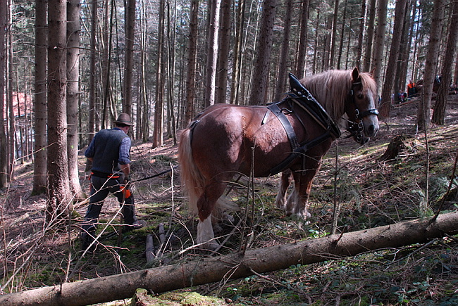20130414GlentleitenHolzr�cken005.JPG