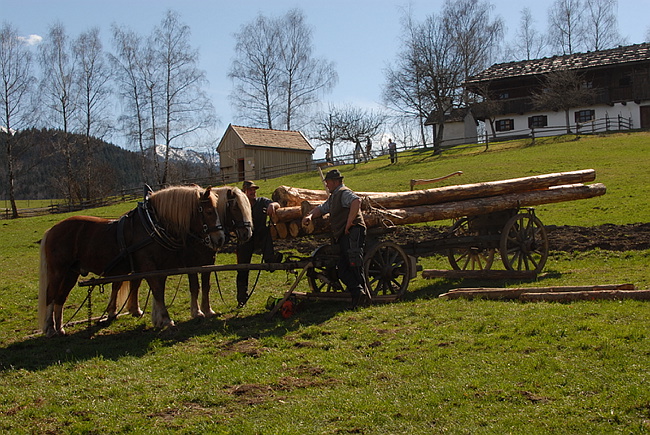 20130414GlentleitenHolzr�cken094.JPG