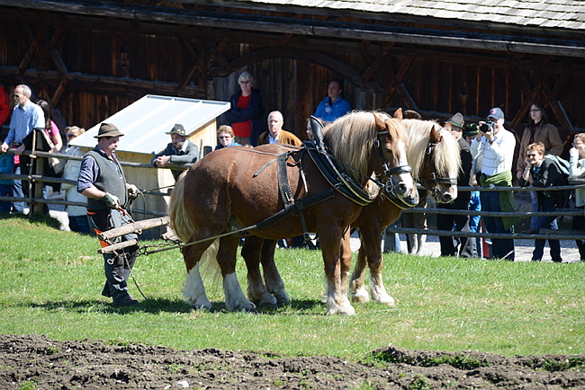 20130414GlentleitenHolzr�cken099.JPG