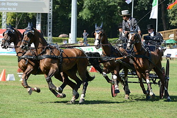 Ronde4961.JPG